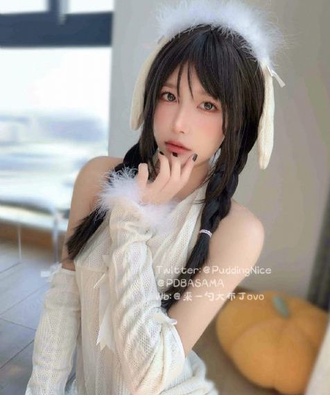 樱花网
