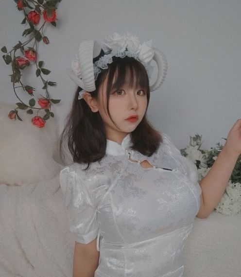航海王免费观看全集在线观看高清